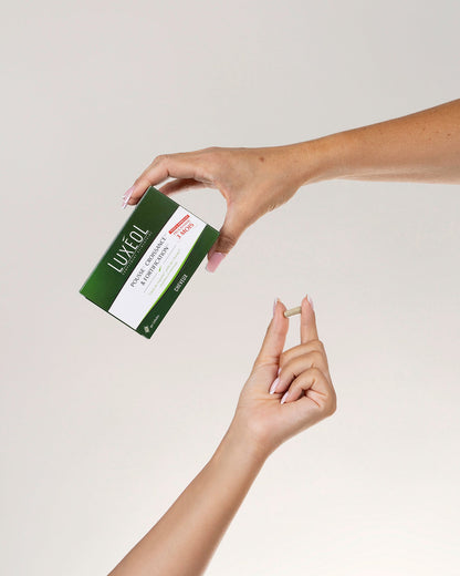 Routine Réparation In & Out